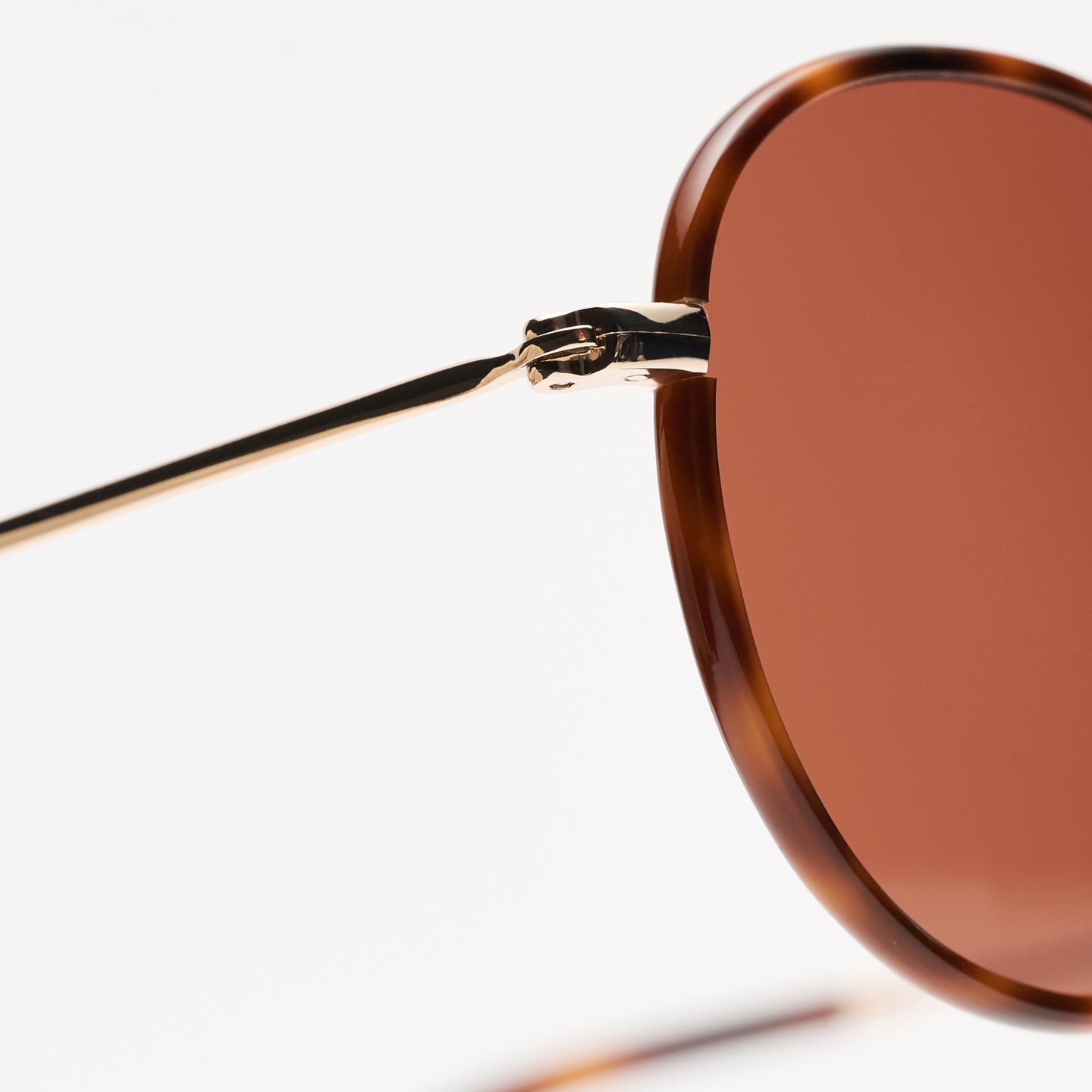 Ozzy Gold / Tortoise