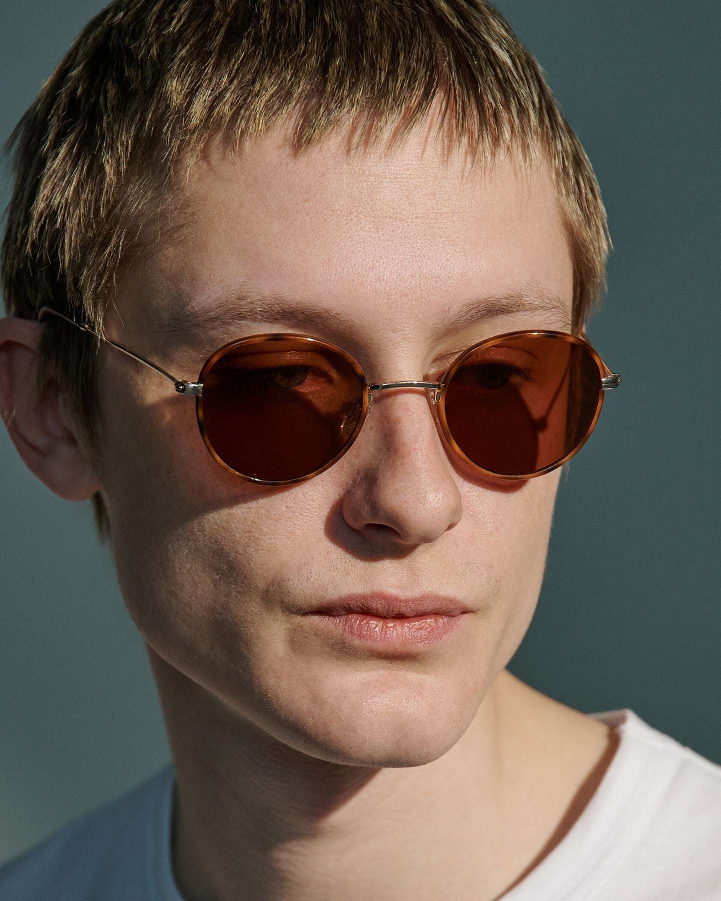 Ozzy Gold / Tortoise